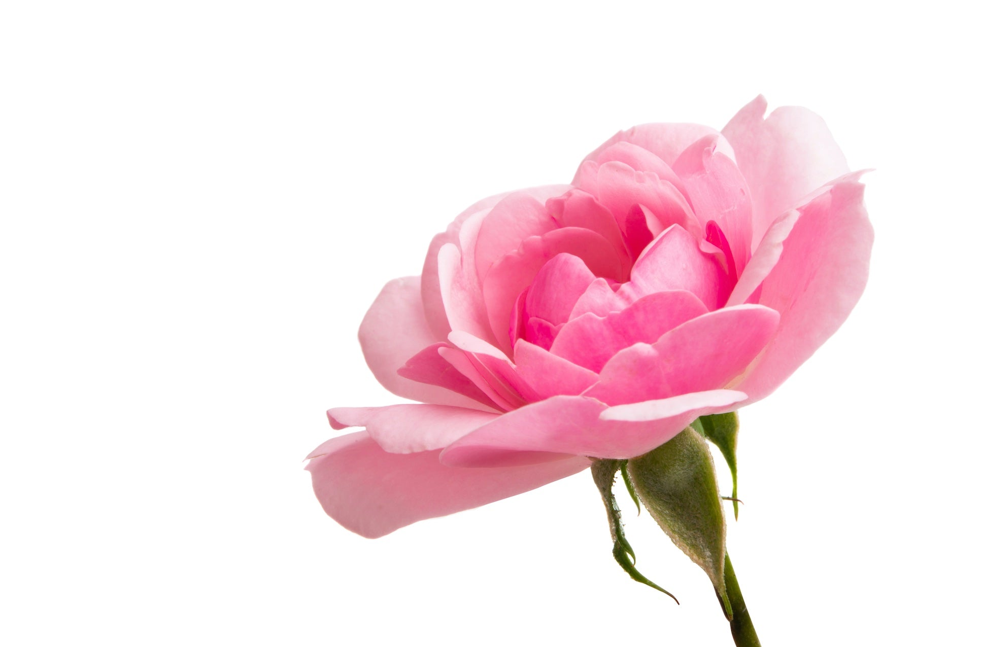 OUD ISPAHAN